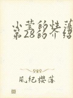 小莹的性荡生活第28的介绍