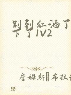 别到红酒了装不下了1V2