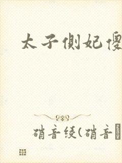 太子侧妃傻乎乎