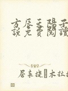 方辰天阳子的小说免费阅读封面