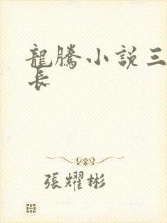 龙腾小说三宝局长