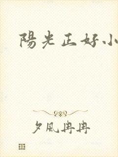 阳光正好小说