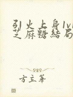 引火上身1v1芝麻糖结局封面