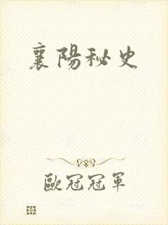 襄阳秘史
