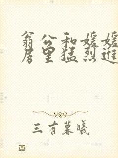 翁公和媛媛在厨房里猛烈进出