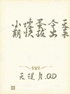 小坏蛋今天危险期快拔出来