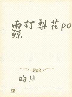 雨打梨花po问鲸