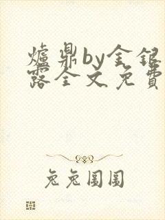 炉鼎by金银花露全文免费阅读笔趣阁封面