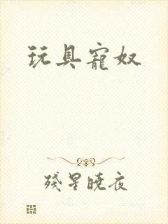 玩具宠奴封面