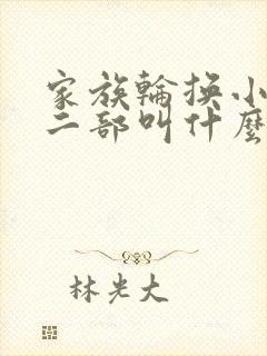 家族轮换小说第二部叫什么名字封面