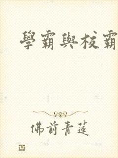 学霸与校霸