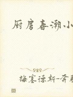 厨房春潮小说