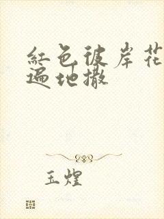 红色彼岸花花瓣遍地撒