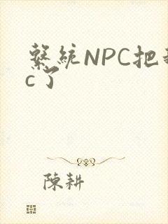 系统NPC把我c了