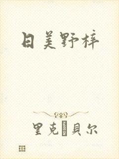 日美野梓封面