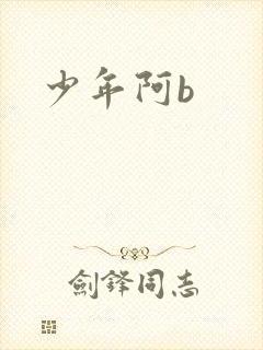 少年阿b封面