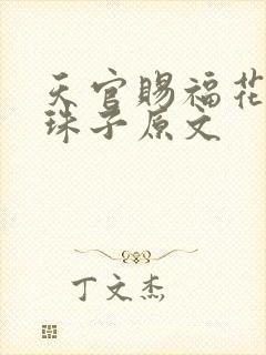 天官赐福花怜塞珠子原文