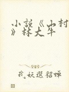 小说《山村情事》林大牛封面