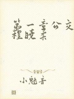 第一章公交激战程晓柔