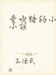 爱吃糖的小麻雀小说封面