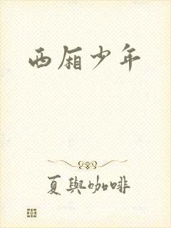 西厢少年