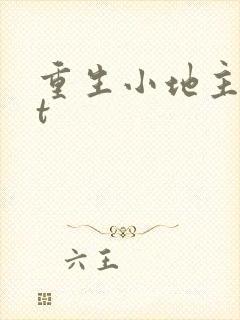 重生小地主txt