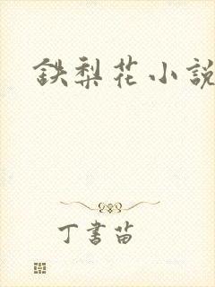 铁梨花小说