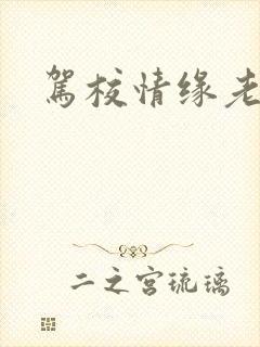 驾校情缘老赵