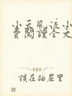 小天风流小说免费阅读全文最新章节封面