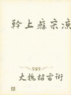 干上瘾宋凉向周封面