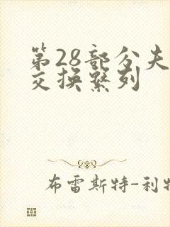 第28部分夫妇交换系列