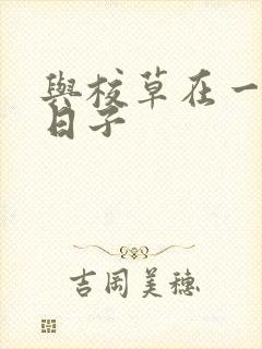 与校草在一起的日子封面