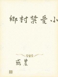 乡村禁爱小说