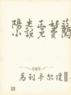 阳光正好苏玥玥小说免费阅读