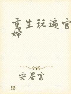 重生玩遍官场贵妇