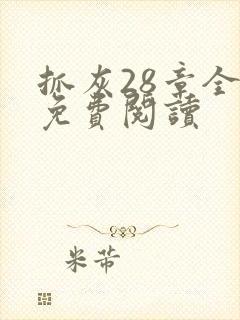抓灰28章全部免费阅读