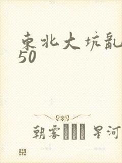 东北大坑乱1—50
