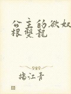 公主的欲奴h四根双龙