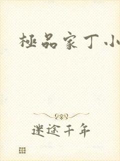 极品家丁小说