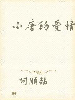小唐的爱情史封面