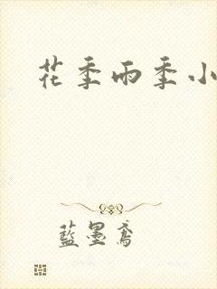 花季雨季小说封面