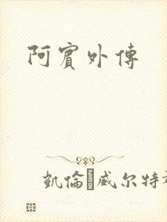 阿宾外传