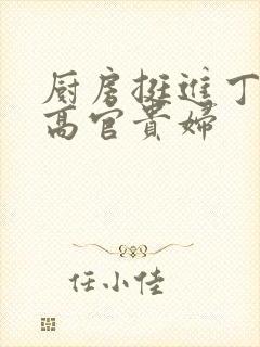 厨房挺进丁字裤高官贵妇