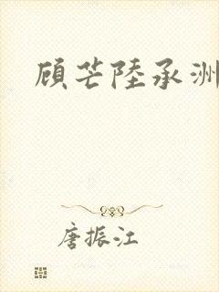 顾芒陆承洲