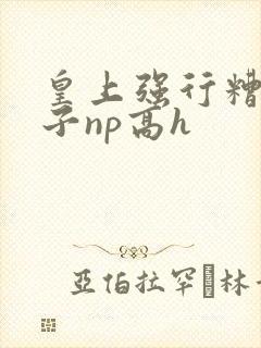 皇上强行糟蹋太子np高h