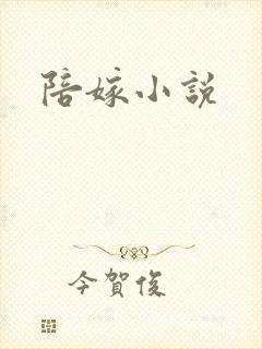 陪嫁小说封面