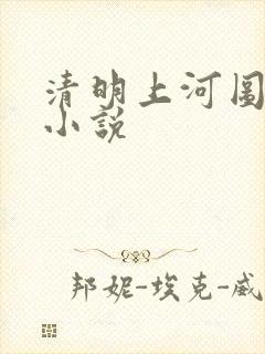 清明上河图密码小说封面