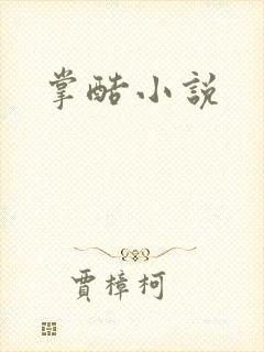 掌酷小说