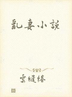 乱妻小说封面
