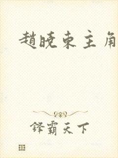赵晓东主角小说封面